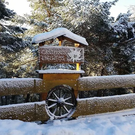 Gastehaus Edelweiss *